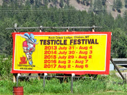 testicle