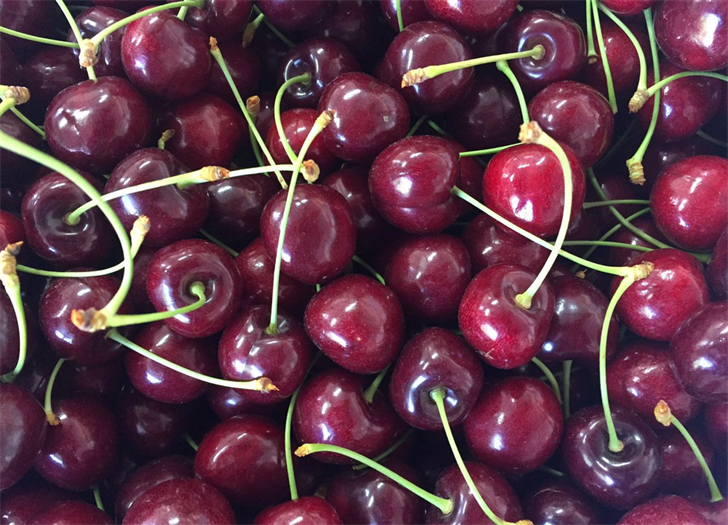 How to pick the perfect Flathead cherry ABC FOX Montana Local News