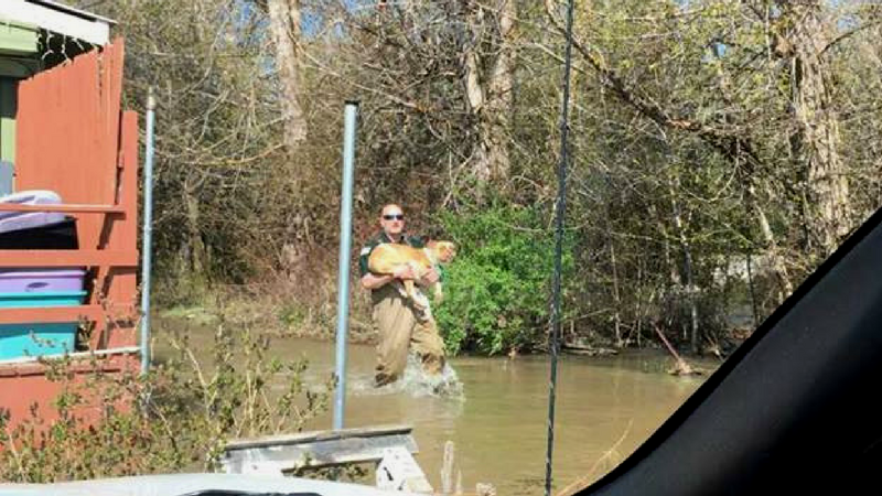 Missoula Animal Control