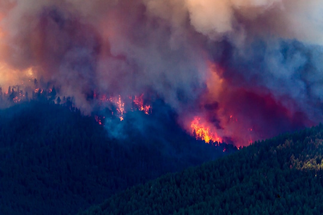 UPDATE: Homes lost, 2,000 acres burned in Roaring Lion Fire near - ABC ...