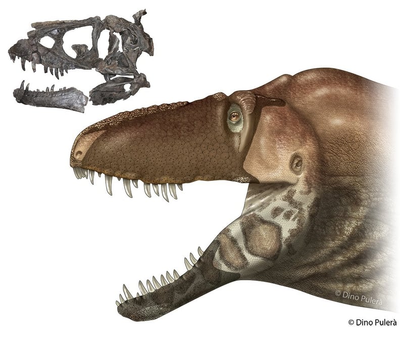 Dinosaur species discovered in Montana reveals new info about ab - ABC ...